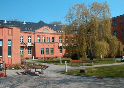 Blick in den Klinikgarten